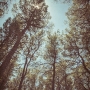 sympathy for the unusual - 2012-2